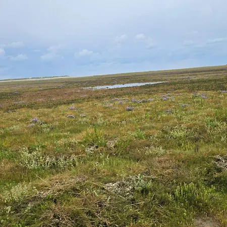 Дом отдыха 6 Person In Romo